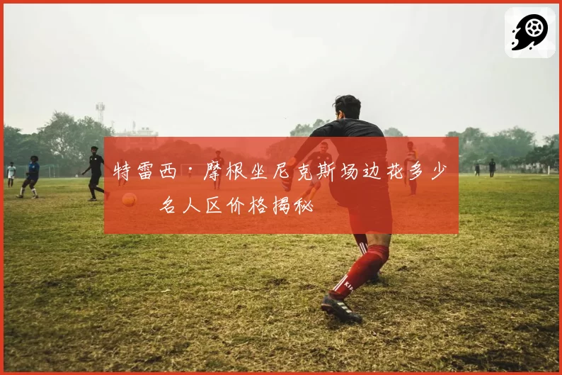 特雷西·摩根坐尼克斯场边花多少?名人区价格揭秘
