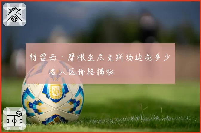 特雷西·摩根坐尼克斯场边花多少?名人区价格揭秘