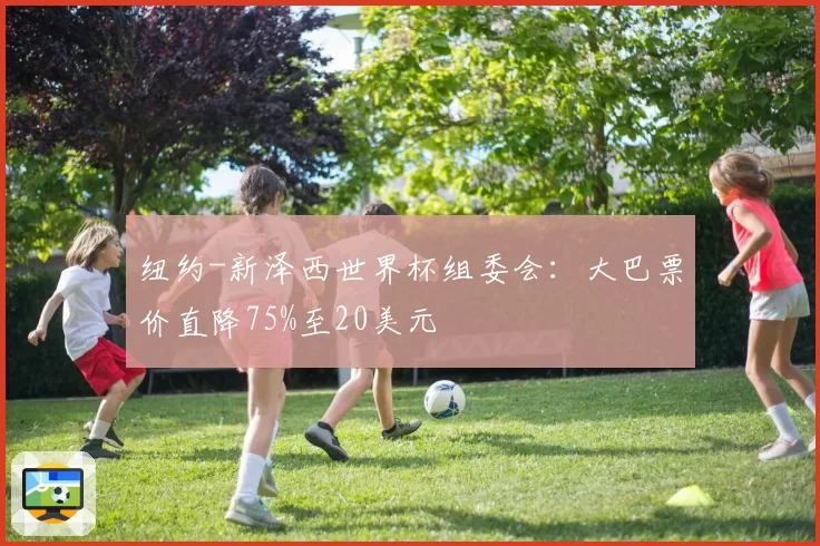纽约-新泽西世界杯组委会：大巴票价直降75%至20美元
