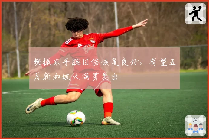 樊振东手腕旧伤恢复良好，有望五月新加坡大满贯复出