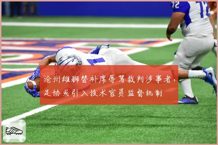 沧州雄狮替补席辱骂裁判涉事者，足协或引入技术官员监督机制