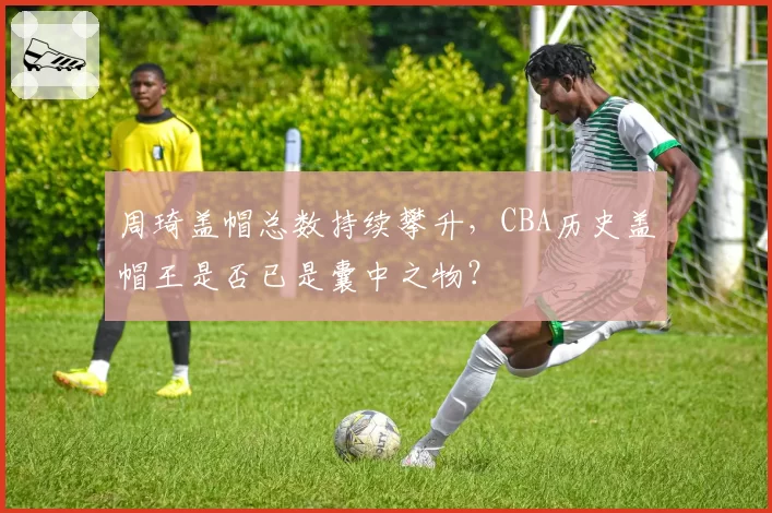 周琦盖帽总数持续攀升，CBA历史盖帽王是否已是囊中之物？