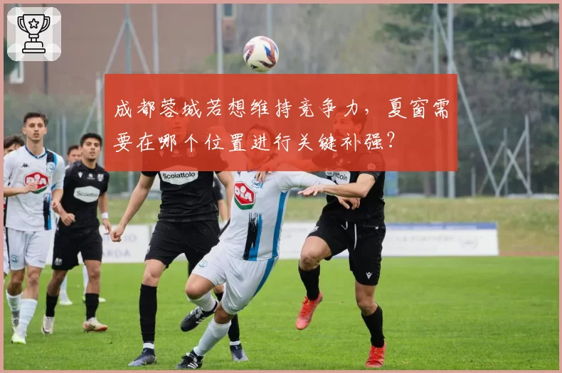 成都蓉城若想维持竞争力，夏窗需要在哪个位置进行关键补强？