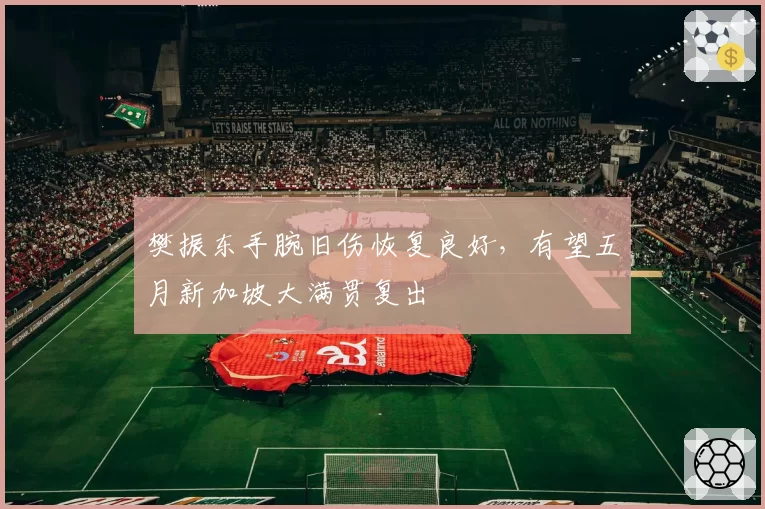 樊振东手腕旧伤恢复良好，有望五月新加坡大满贯复出