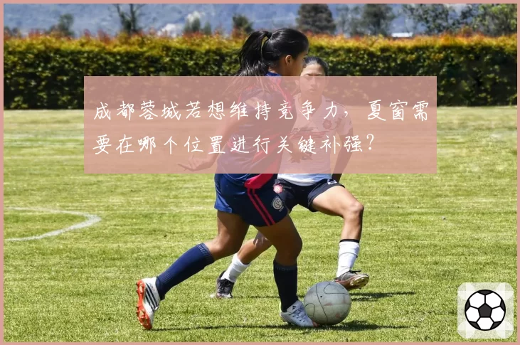 成都蓉城若想维持竞争力，夏窗需要在哪个位置进行关键补强？